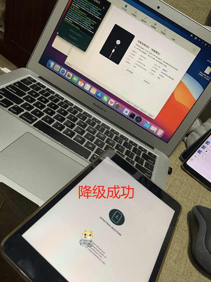 苹果A7处理器完美降级工具LeetDown，iPad Air/mini2/5S轻松降级iOS 10.3.3插图走客